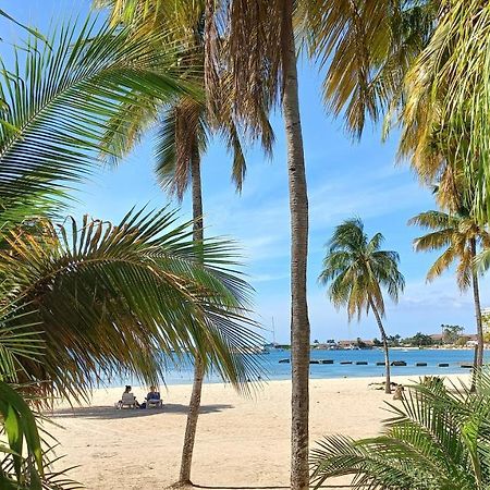 Beach Studio 20 Ocho Rios Bagian luar foto