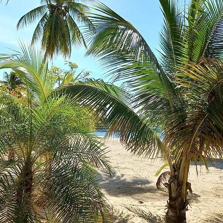 Beach Studio 20 Ocho Rios Bagian luar foto