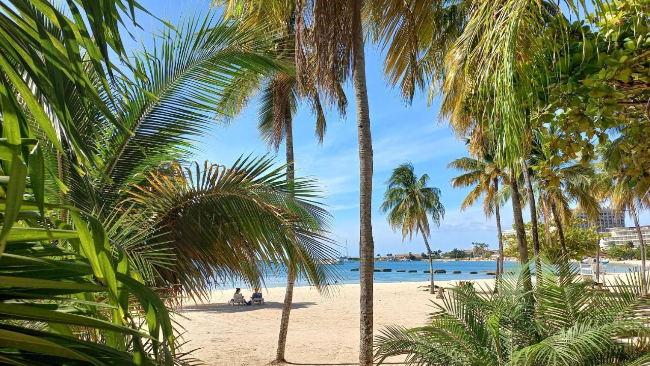 Beach Studio 20 Ocho Rios Bagian luar foto