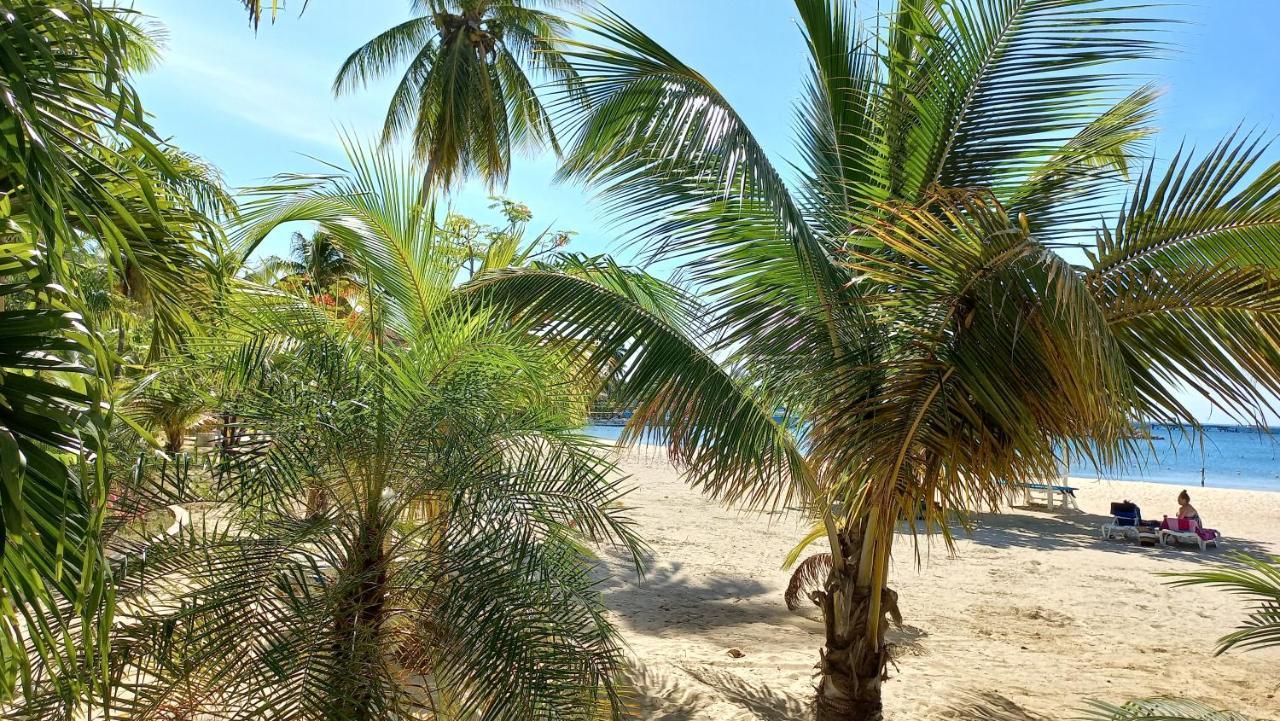 Beach Studio 20 Ocho Rios Bagian luar foto