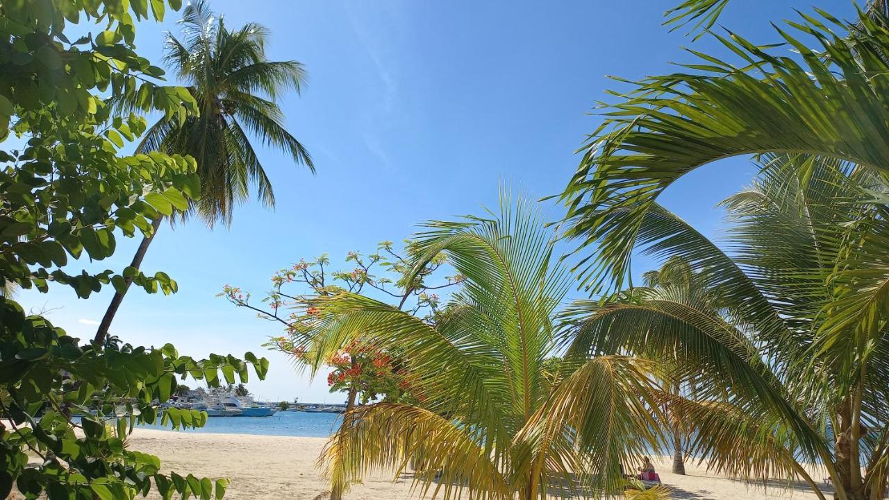 Beach Studio 20 Ocho Rios Bagian luar foto